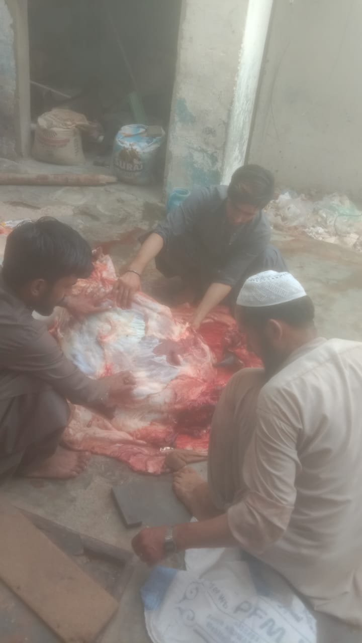 Impact Photo other-32